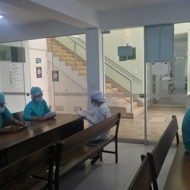 Monitoreo psicosocial en la empresa ALISUR S.A.C.