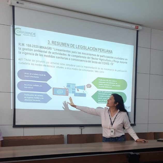 Asesoramiento ejecutivo en la empresa ALISUR S.A.C.