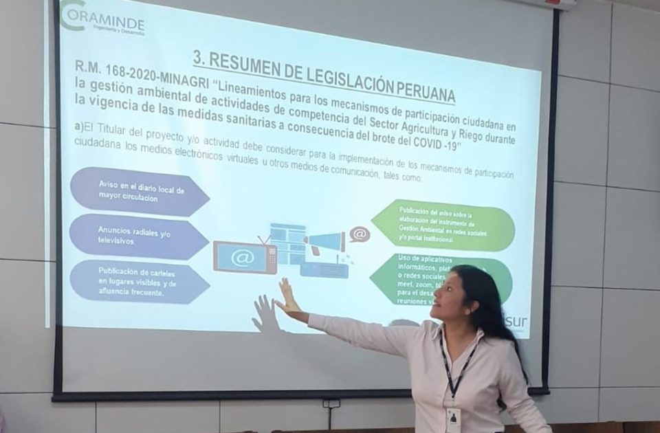 Asesoramiento ejecutivo en la empresa ALISUR S.A.C.